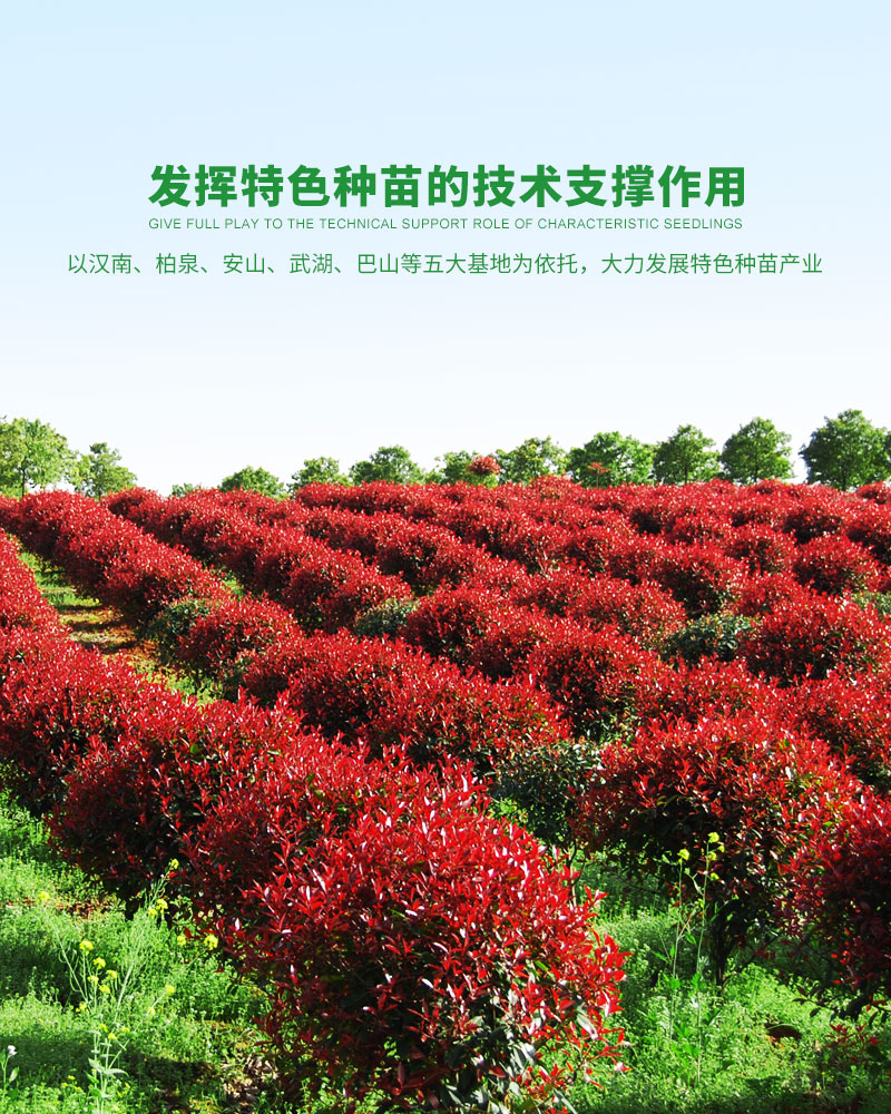 壹号平台注册链接_壹号平台下载安装